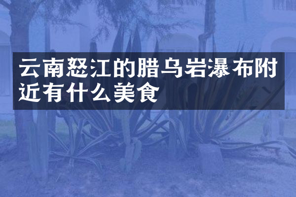 云南怒江的腊乌岩瀑布附近有什么美食
