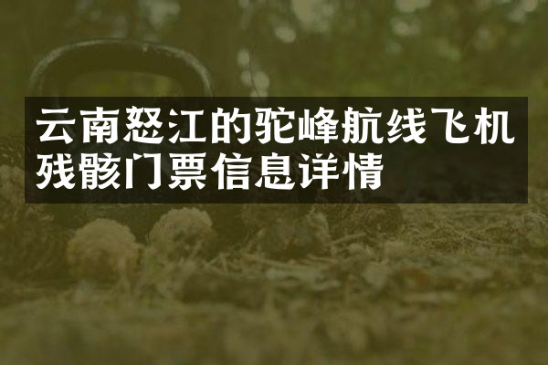 云南怒江的驼峰航线飞机残骸门票信息详情