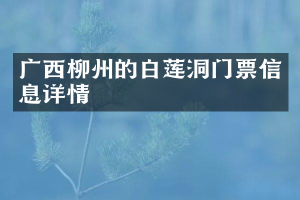 广西柳州的白莲洞门票信息详情