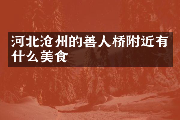 河北沧州的善人桥附近有什么美食
