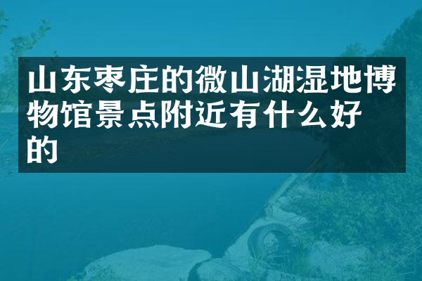 山东枣庄的微山湖湿地博物馆景点附近有什么好吃的
