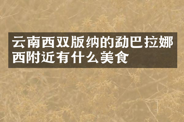 云南西双版纳的勐巴拉娜西附近有什么美食