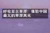 呼伦贝尔草原：体验中国最大的草原风光