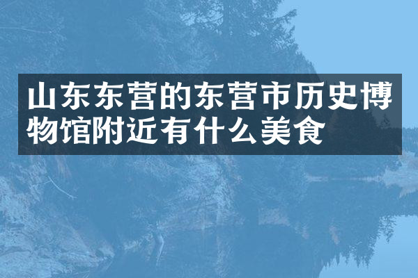 山东东营的东营市历史博物馆附近有什么美食