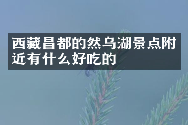 西藏昌都的然乌湖景点附近有什么好吃的