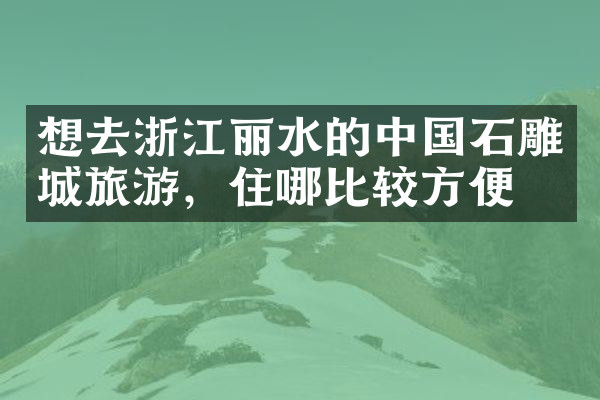 想去浙江丽水的中国石雕城旅游，住哪比较方便