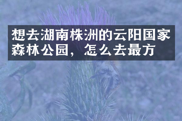 想去湖南株洲的云阳国家森林公园，怎么去最方便