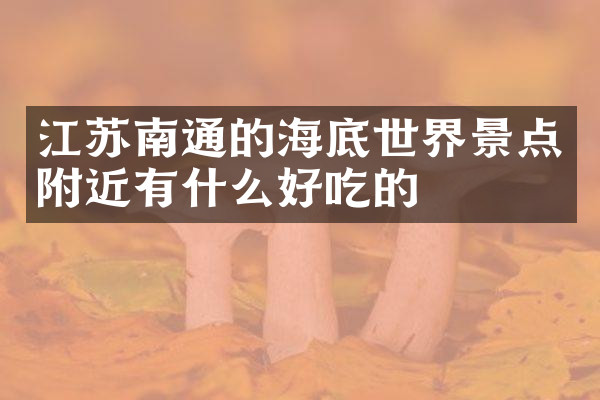 江苏南通的海底世界景点附近有什么好吃的