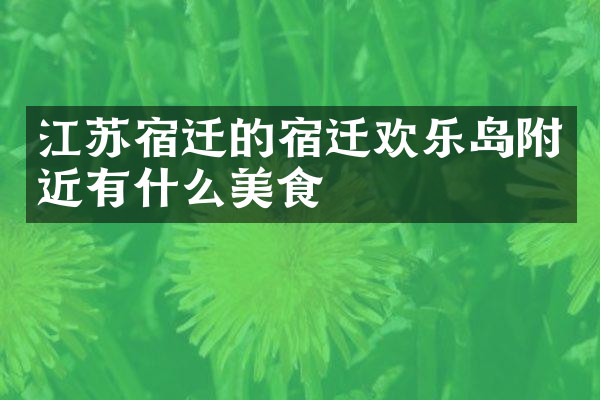 江苏宿迁的宿迁欢乐岛附近有什么美食