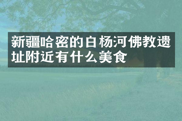 新疆哈密的白杨河佛教遗址附近有什么美食