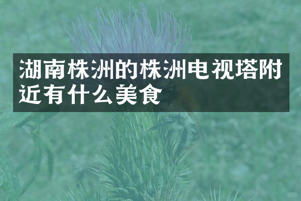湖南株洲的株洲电视塔附近有什么美食