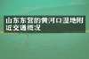 山东东营的黄河口湿地附近交通概况