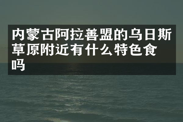 内蒙古阿拉善盟的乌日斯草原附近有什么特色食物吗