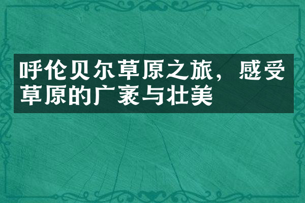 呼伦贝尔草原之旅，感受草原的广袤与壮美