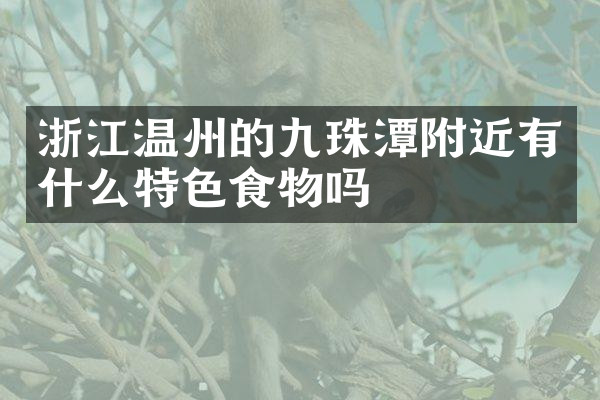 浙江温州的九珠潭附近有什么特色食物吗
