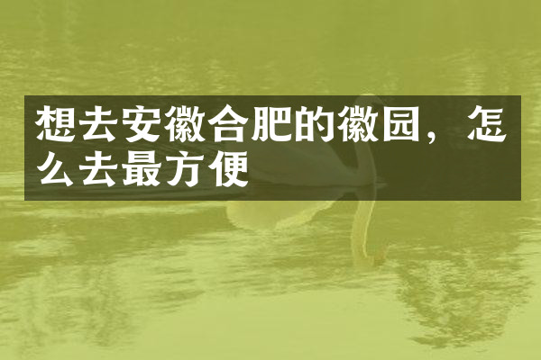 想去安徽合肥的徽园，怎么去最方便