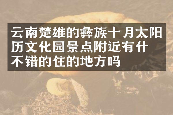 云南楚雄的彝族十月太阳历文化园景点附近有什么不错的住的地方吗