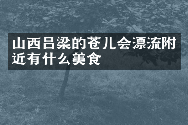山西吕梁的苍儿会漂流附近有什么美食