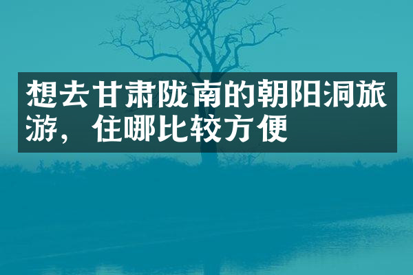 想去甘肃陇南的朝阳洞旅游，住哪比较方便