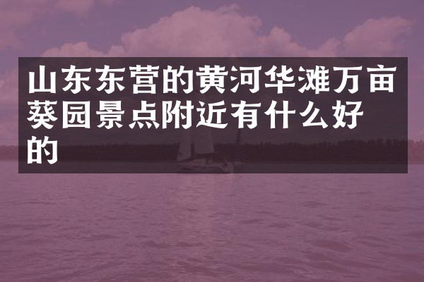 山东东营的黄河华滩万亩葵园景点附近有什么好吃的