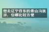 想去辽宁丹东的青山沟旅游，住哪比较方便