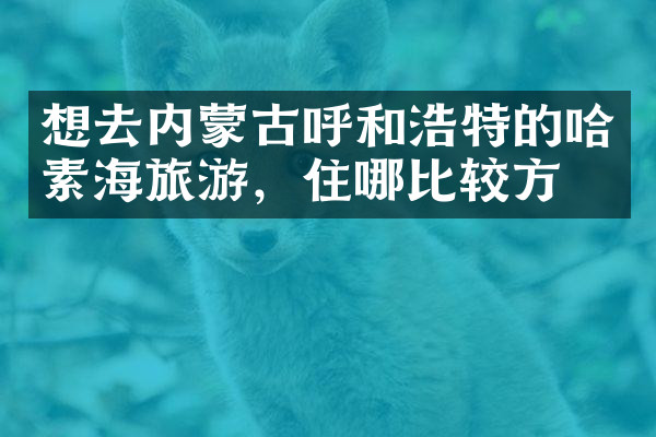 想去内蒙古呼和浩特的哈素海旅游，住哪比较方便