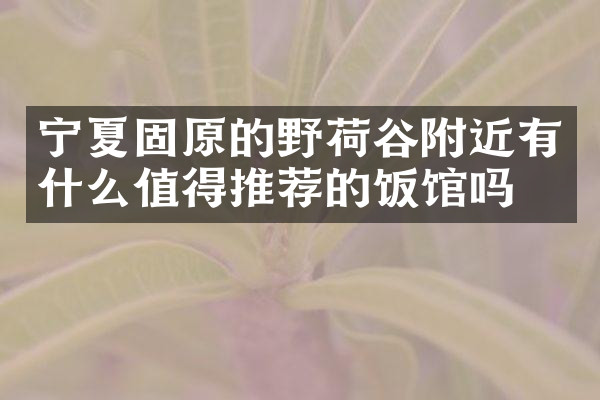 宁夏固原的野荷谷附近有什么值得推荐的饭馆吗