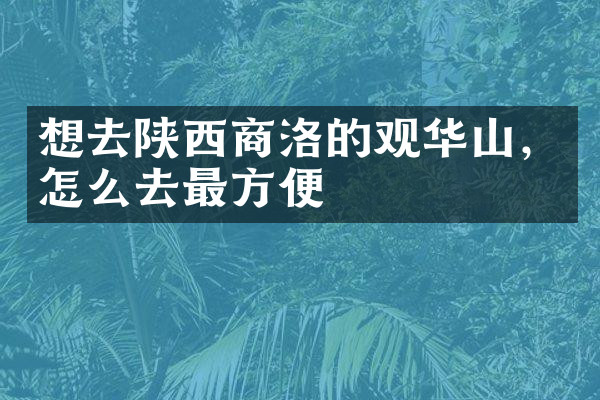 想去陕西商洛的观华山，怎么去最方便