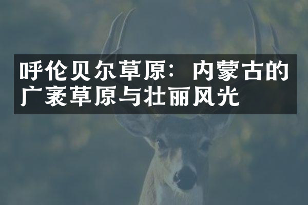呼伦贝尔草原：内蒙古的广袤草原与壮丽风光