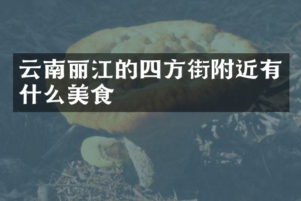 云南丽江的四方街附近有什么美食