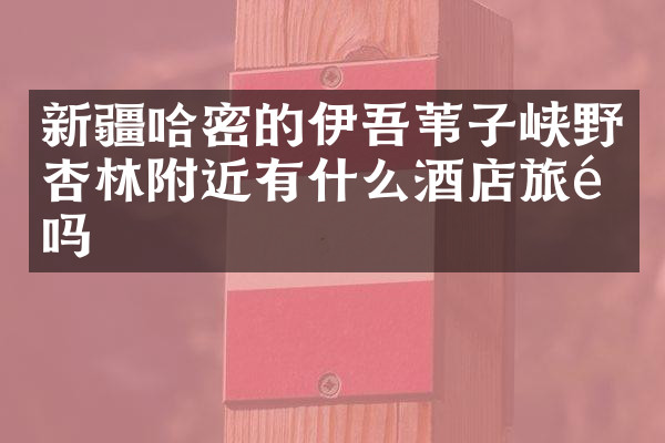 新疆哈密的伊吾苇子峡野杏林附近有什么酒店旅馆吗