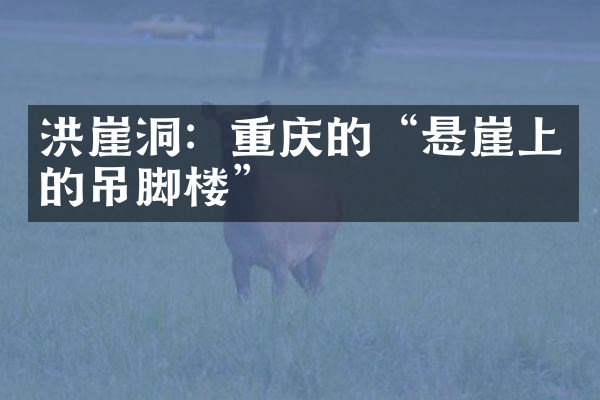 洪崖洞：重庆的“悬崖上的吊脚楼”