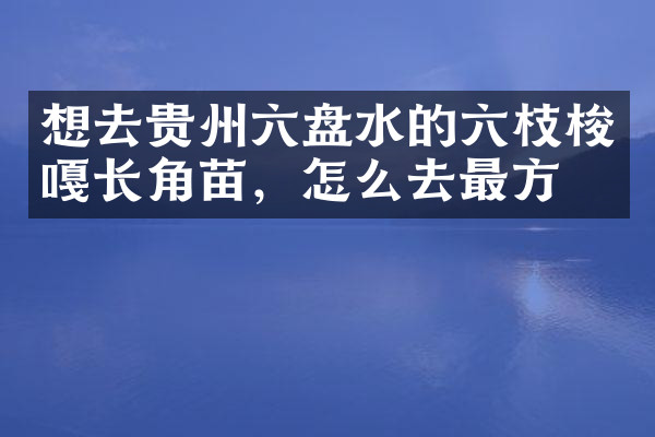 想去贵州六盘水的六枝梭嘎长角苗，怎么去最方便