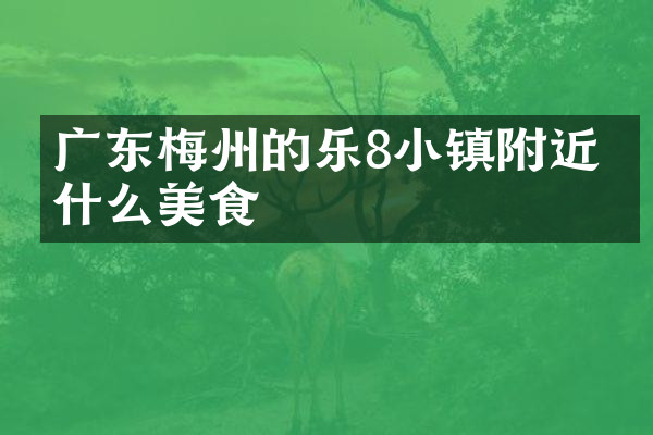 广东梅州的乐8小镇附近有什么美食