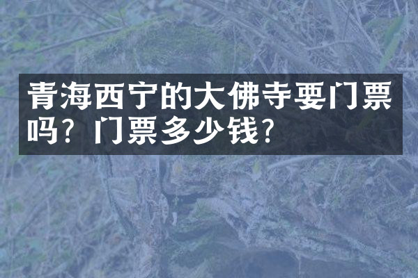 青海西宁的大佛寺要门票吗？门票多少钱？