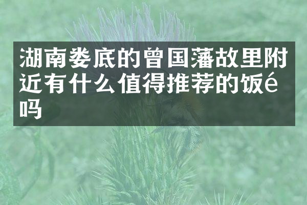 湖南娄底的曾国藩故里附近有什么值得推荐的饭馆吗