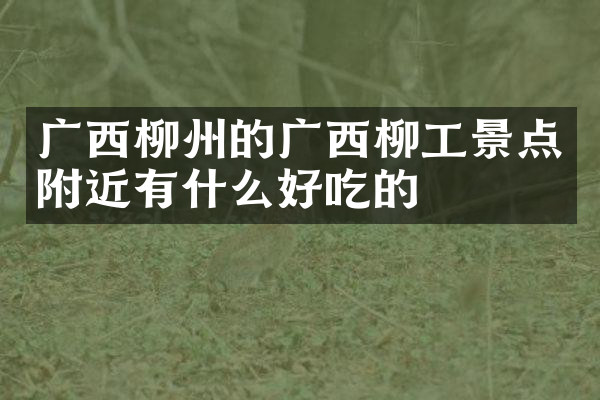 广西柳州的广西柳工景点附近有什么好吃的
