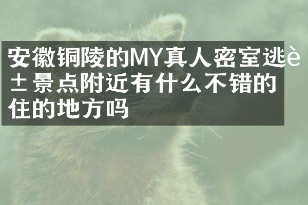 安徽铜陵的MY真人密室逃脱景点附近有什么不错的住的地方吗