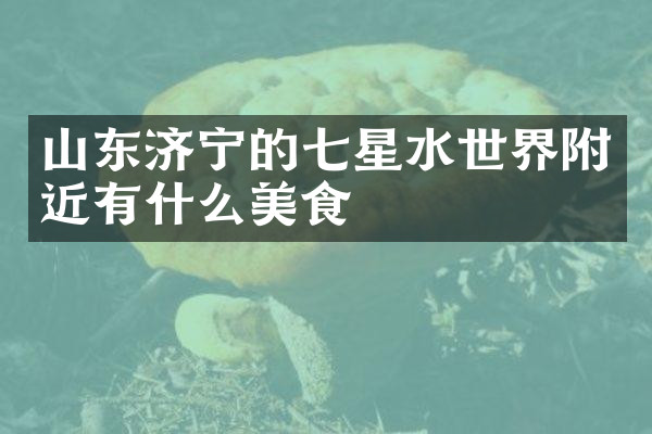 山东济宁的七星水世界附近有什么美食