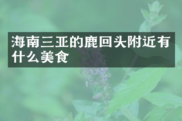 海南三亚的鹿回头附近有什么美食