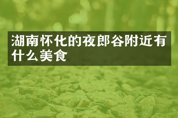 湖南怀化的夜郎谷附近有什么美食