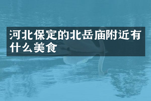 河北保定的北岳庙附近有什么美食