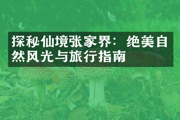探秘仙境张家界：绝美自然风光与旅行指南