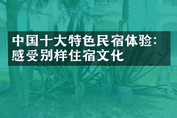 中国十大特色民宿体验：感受别样住宿文化