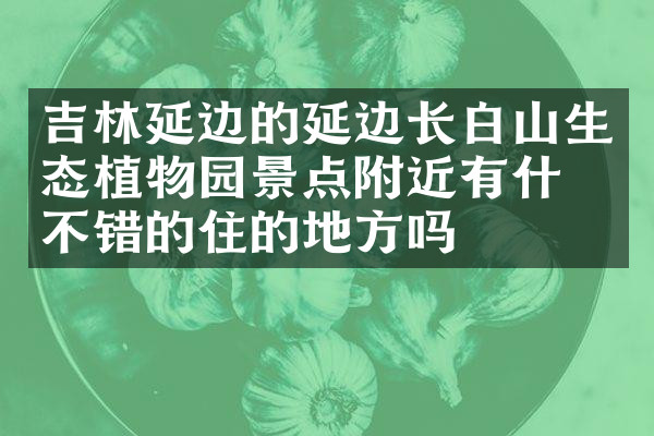 吉林延边的延边长白山生态植物园景点附近有什么不错的住的地方吗