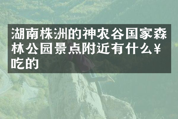 湖南株洲的神农谷国家森林公园景点附近有什么好吃的