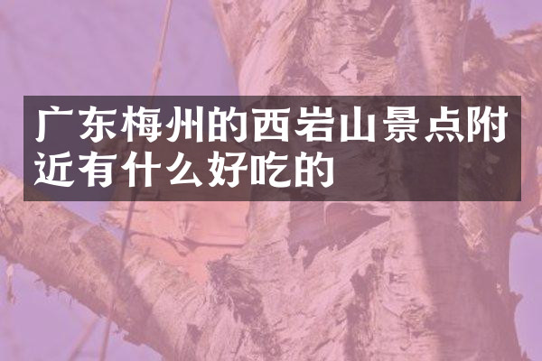 广东梅州的西岩山景点附近有什么好吃的