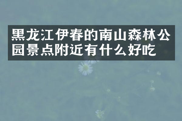 黑龙江伊春的南山森林公园景点附近有什么好吃的