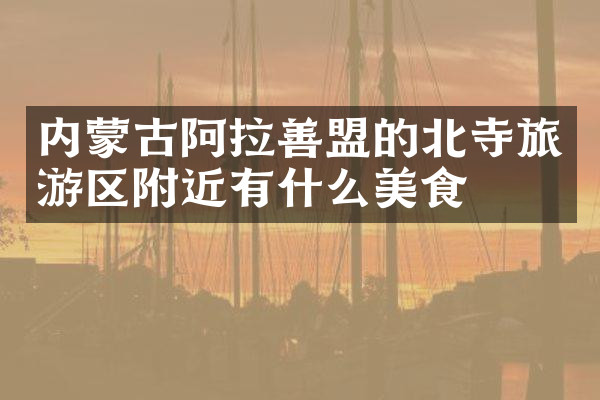 内蒙古阿拉善盟的北寺旅游区附近有什么美食