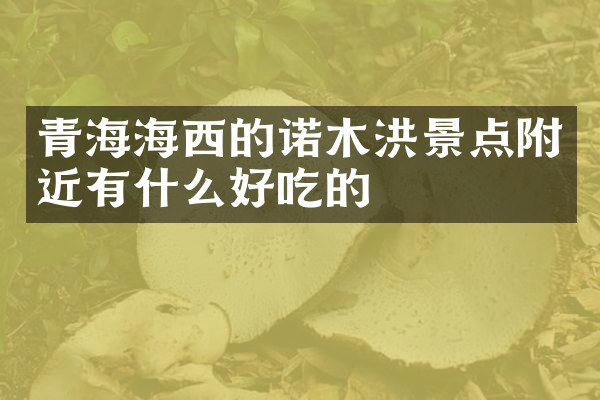 青海海西的诺木洪景点附近有什么好吃的